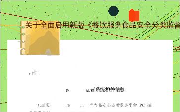 关于全面启用新版《餐饮服务食品安全分类监督检查要点表》的通知